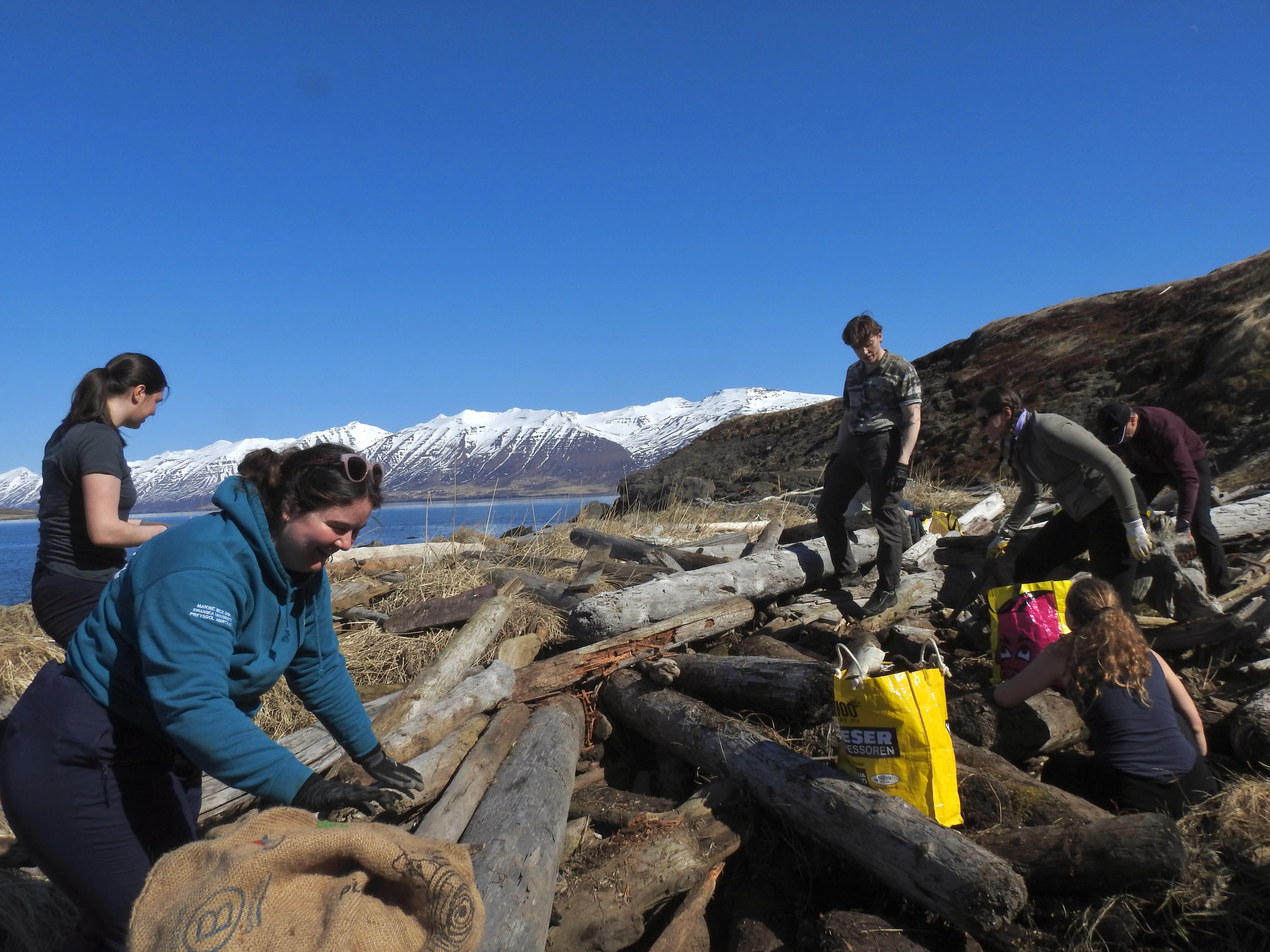 Volunteers picking up and sorting litter on a rocky beach. Snowy mountains in the background.