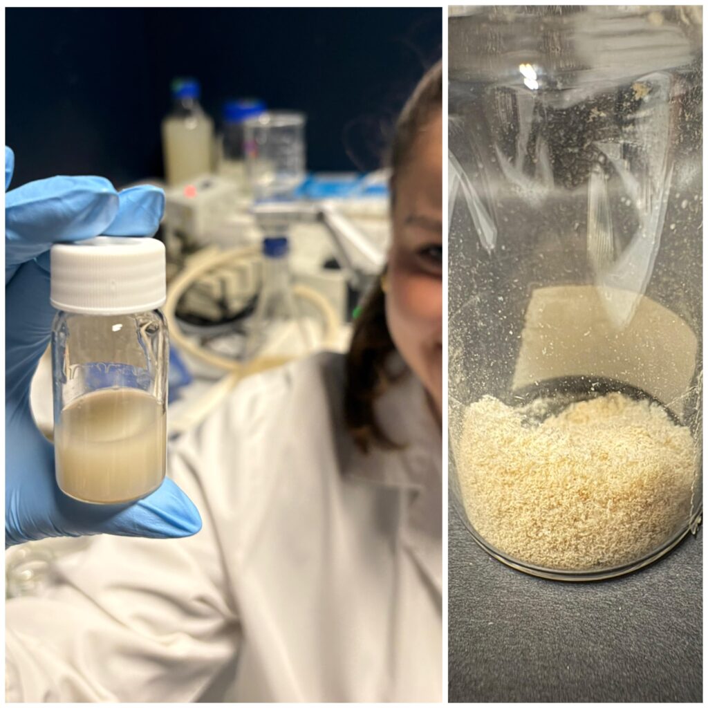 Side-by-side images showing a researcher holding a small vial of cloudy nanoplastic suspension on the left, and a close-up of freeze-dried nanoplastic powder collected at the bottom of a glass container on the right.