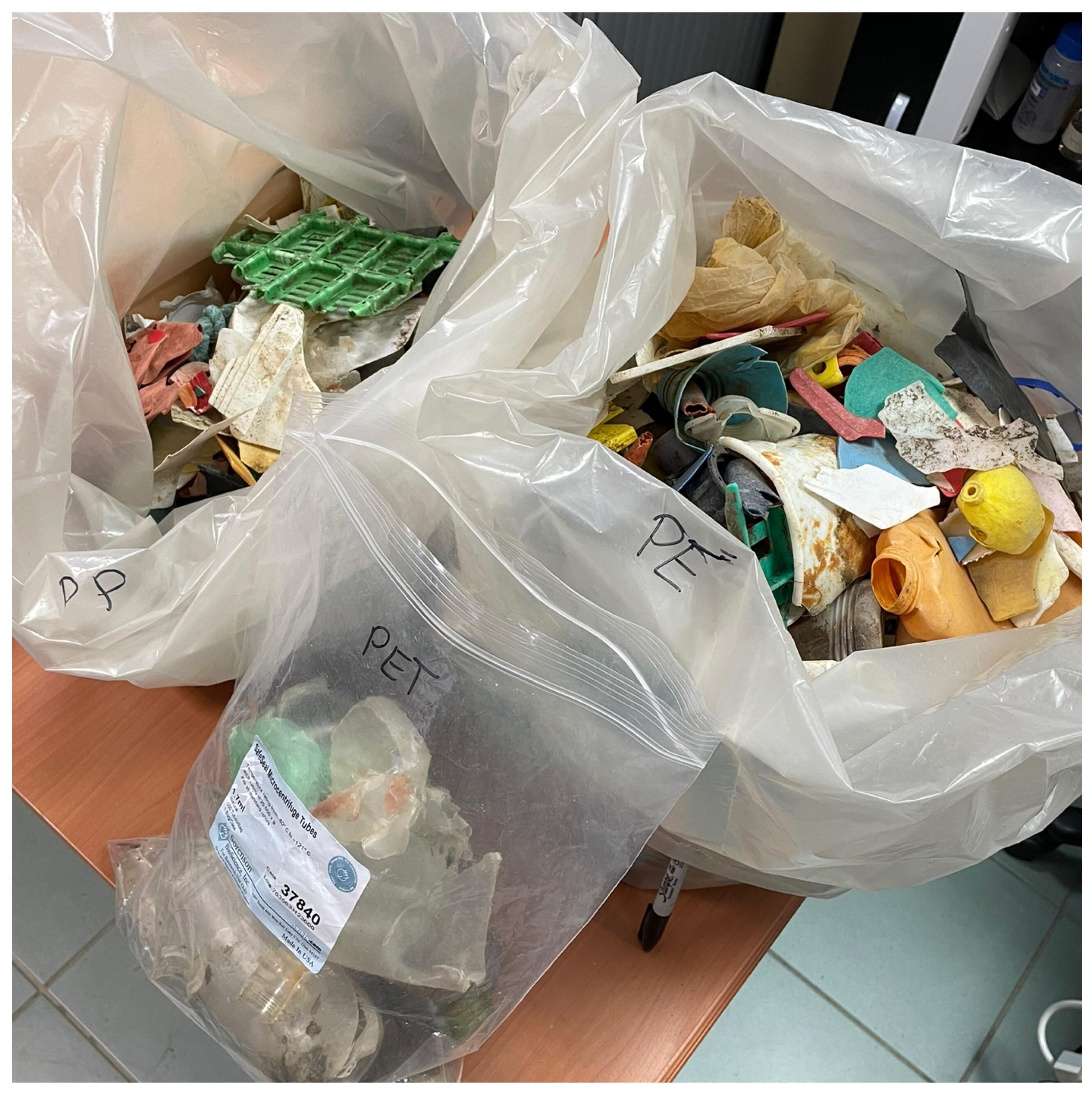 Three large labelled bags containing sorted beach plastics: PET, PE, and PP, showing various weathered fragments inside transparent liners.