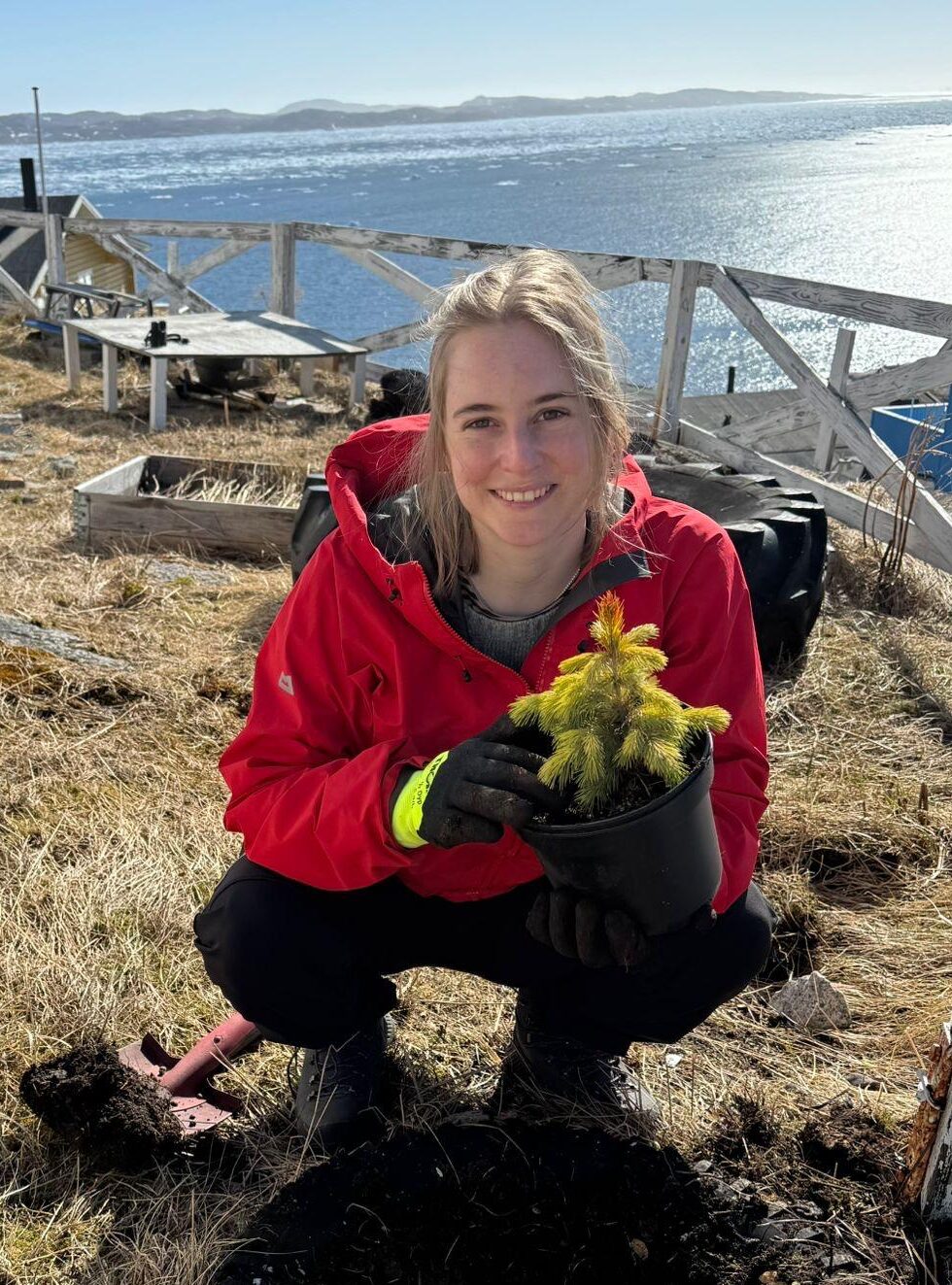 A smiling woman with light hair in a red hoodie, sitting in a squat and holding a small tree seedling.