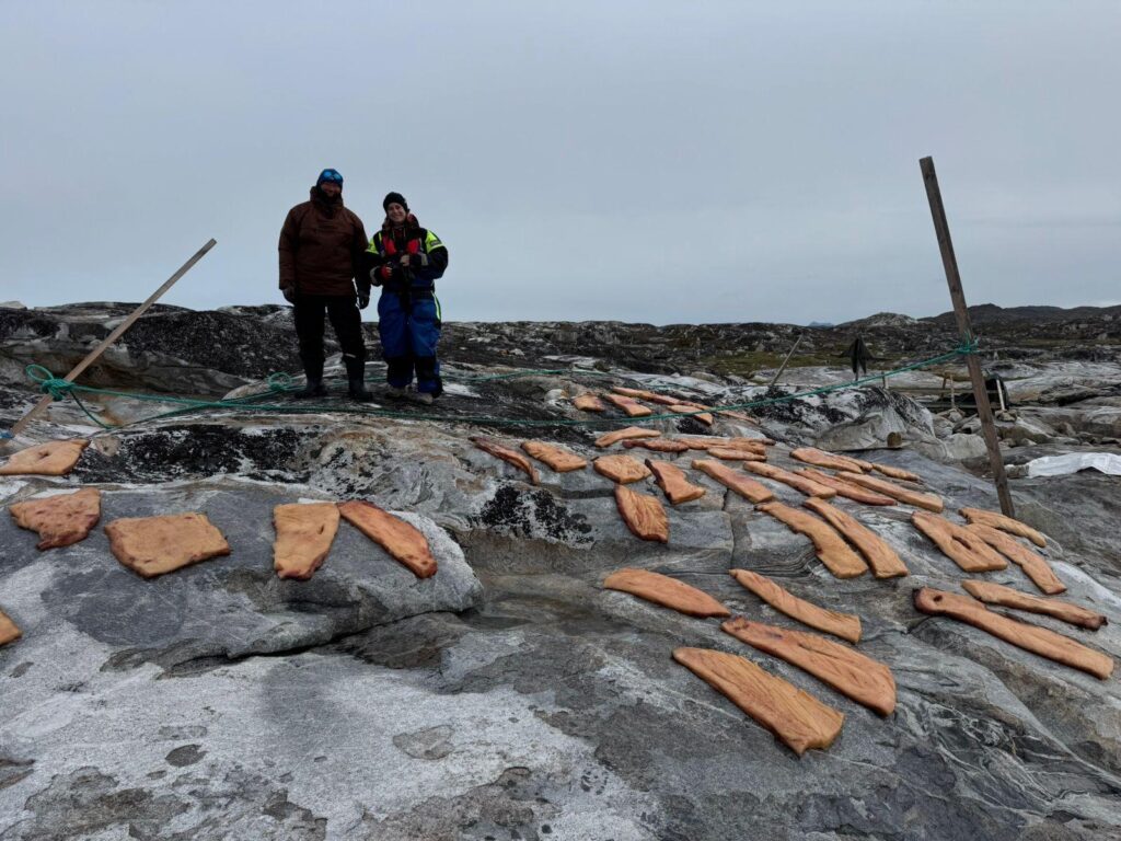 Two people standing on top of a rocky landscape. On the rocks, there are pieces of seal meat.